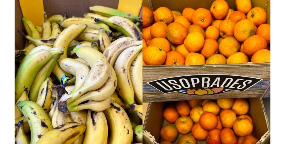 Programa Escolar Leche, Fruta y Hortalizas UE 2025