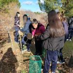 Aula medioambiental 4º ESO: cuidado del medio