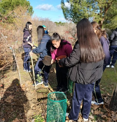 Aula medioambiental 4º ESO: cuidado del medio