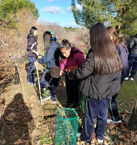 Aula medioambiental 4º ESO: cuidado del medio