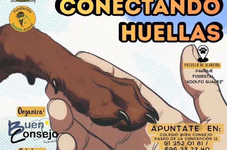 Éxito de participación en la IV Carrera Solidaria “Conectando Huellas” en Pozuelo