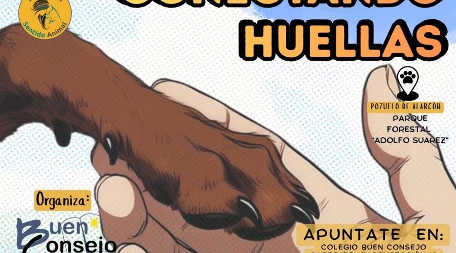 Éxito de participación en la IV Carrera Solidaria “Conectando Huellas” en Pozuelo